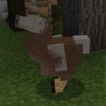 dodo-1