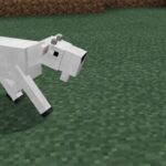 goats-1