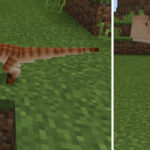 raptor-1
