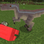 raptor-2
