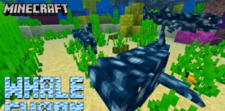 Whale Shark Add-on | Minecraft PE Addons