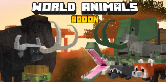 World Animals