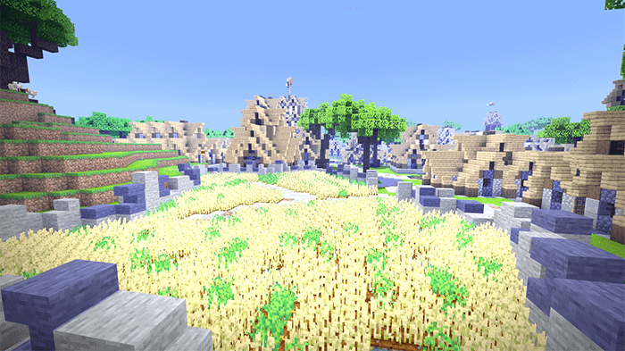 A Medieval Village