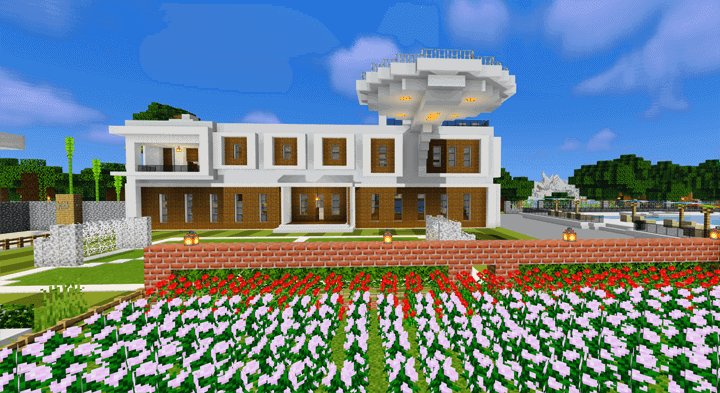 Special Modern House