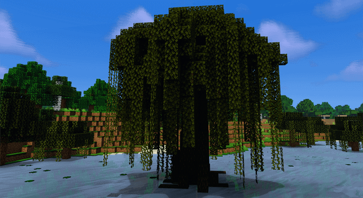 aesthetic trees