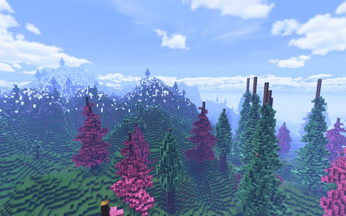 Spruce Forest Custom Terrain