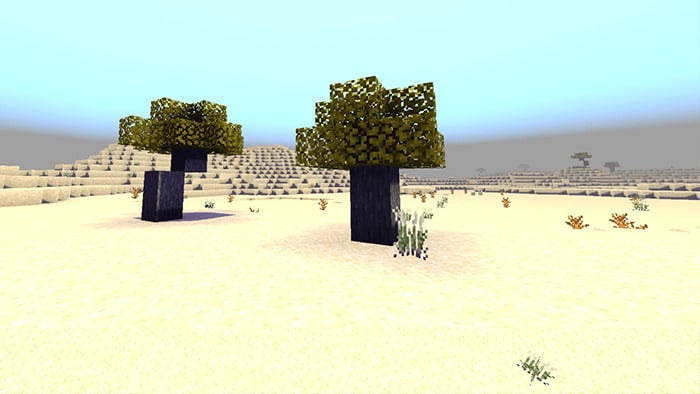Expansive Biomes