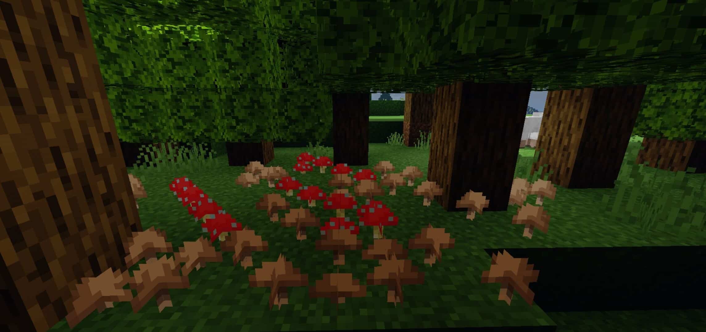 Better Foliage Addontexture Pack For Minecraft Pe Mcpe Addons