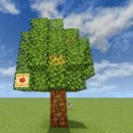 Screenshot_20210809-183036_Minecraft