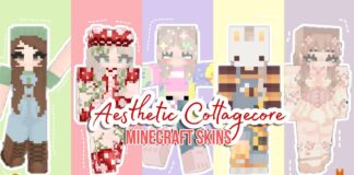 Aesthetic Skin Pack Minecraft