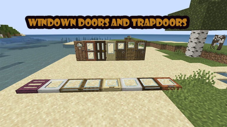 Windowed Doors and Trapdoors Texture
