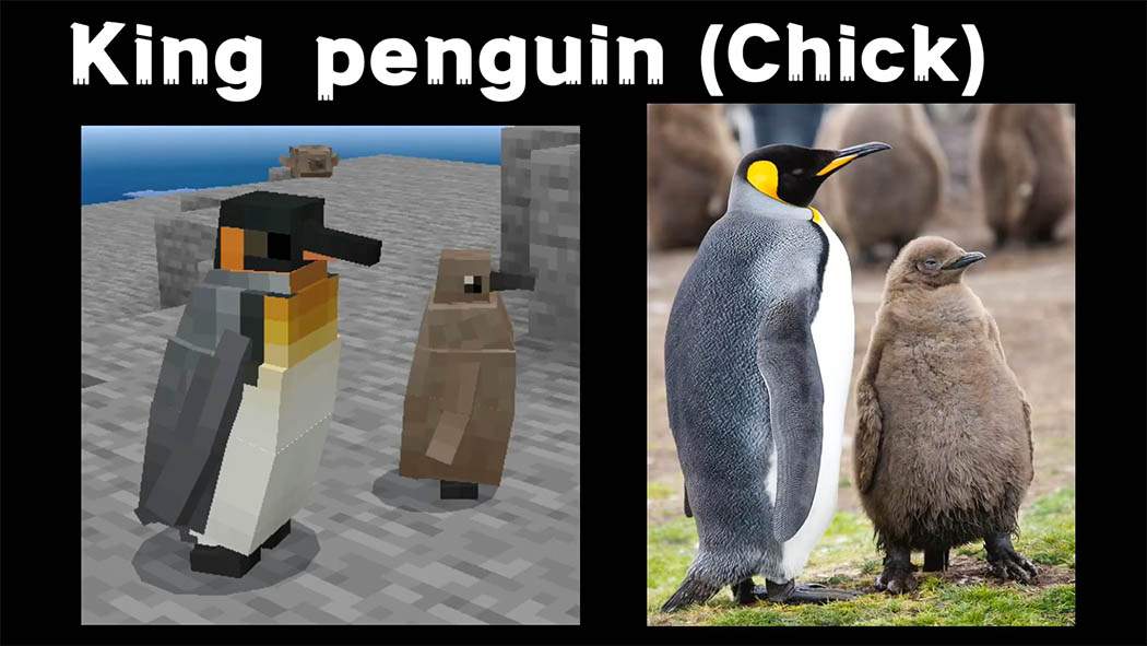 Aviancraft: Penguins