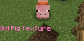 Old Pig Texture