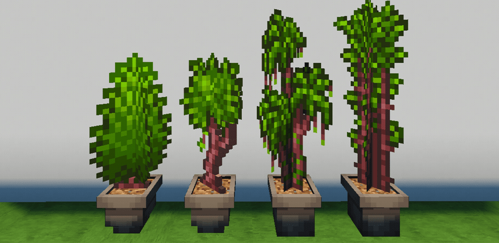 POTTED TREES 