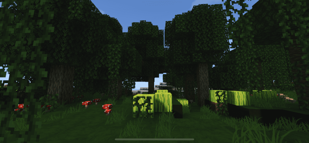 yBiomes Craft