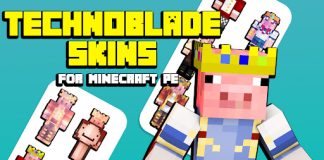 Technoblade Skins | Minecraft Skins