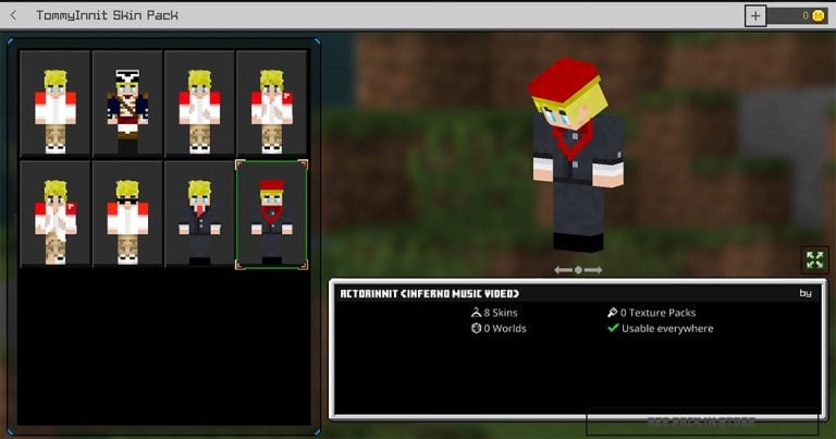 TommyInnit Skin Pack