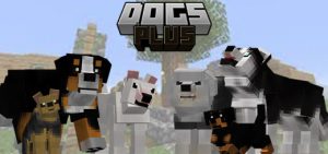 Dogs Plus – Improvements Update