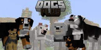Dogs Plus – Improvements Update