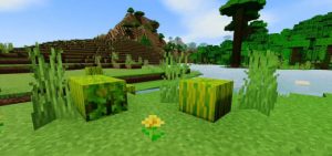 MCPE Sharp Shaders (1.19) – Mobile/PC/Low-End Devices