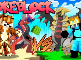 PokeBlock-Addon