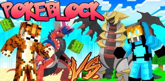 PokeBlock-Addon
