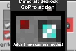 GoPro Perspective Addon