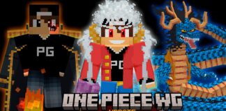 one piece addon wg 4.1