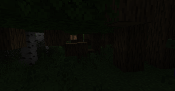 Day in dense forest biome