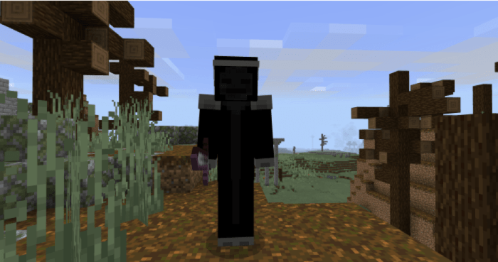 Herobrine's Wraight