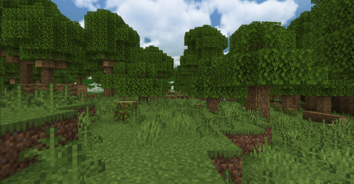 lower woods biome