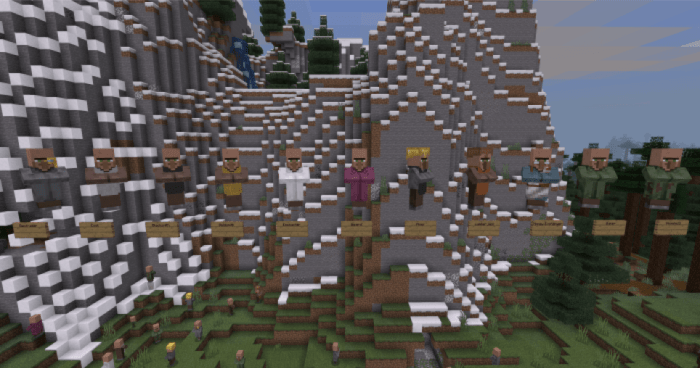 New villager professions
