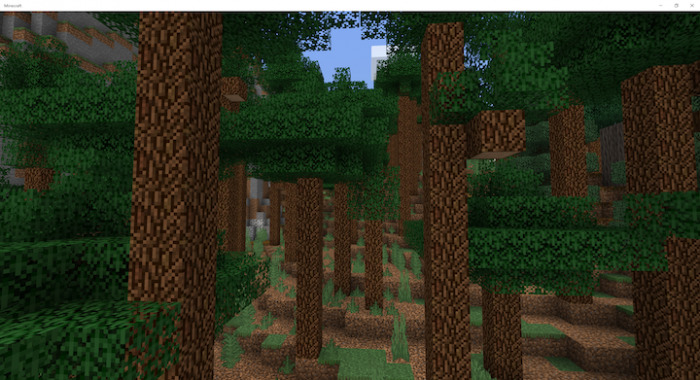 Pine taiga biome