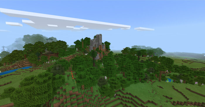 Ruined fortress in forest