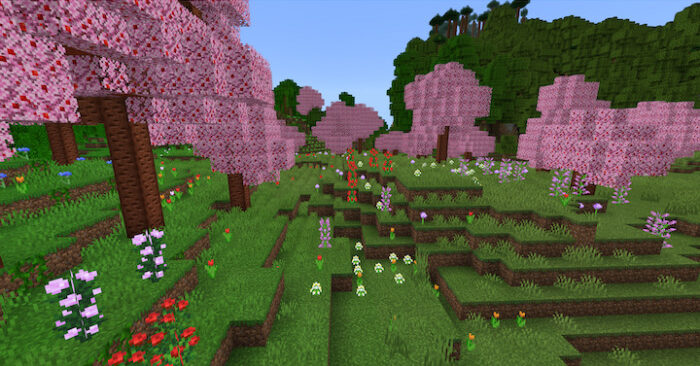 sakura cherry biome