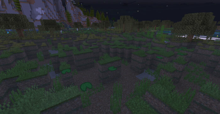 Swampland marsh biome at night