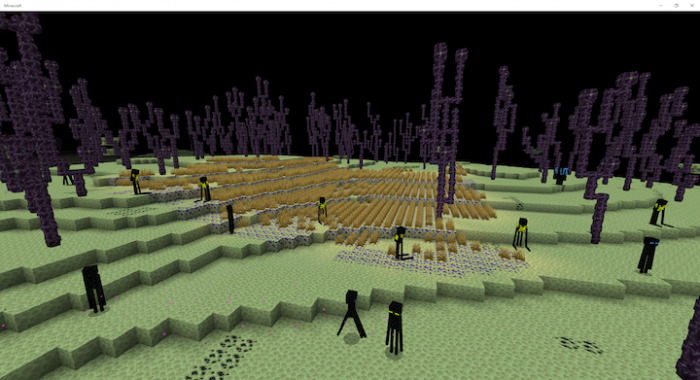 the end dimension
