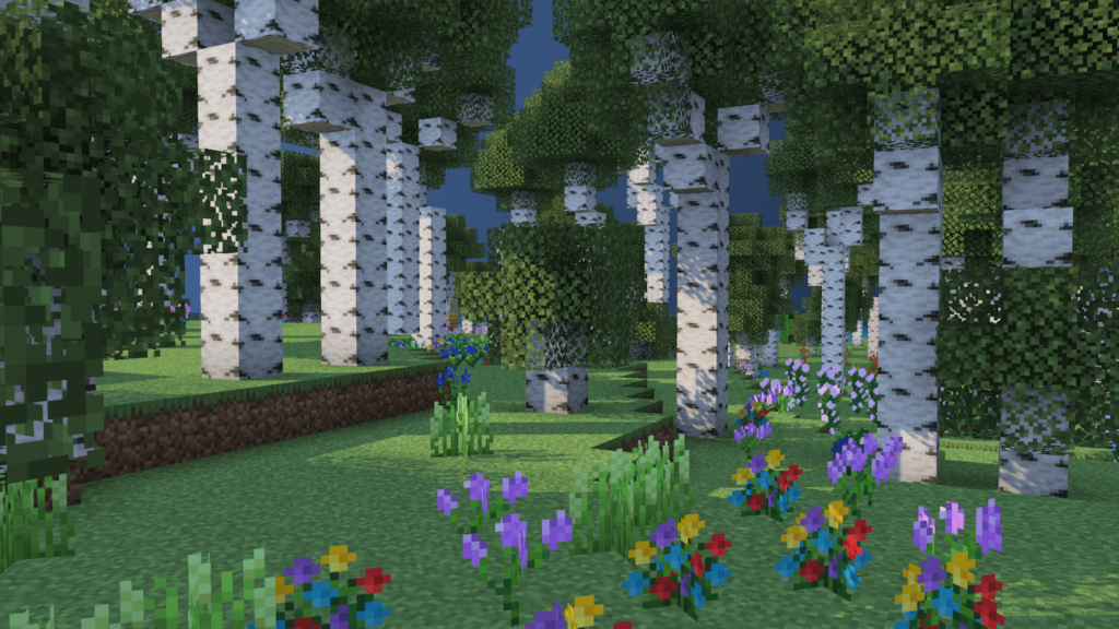 Birch Poggy's Better on Bedrock
