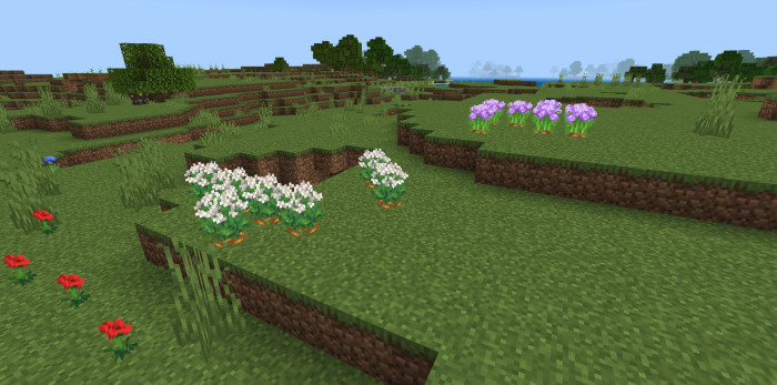 Carrot & Onion in Farmer's Delight Bedrock