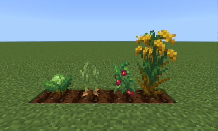 Crops in Farmer's Delight Bedrock