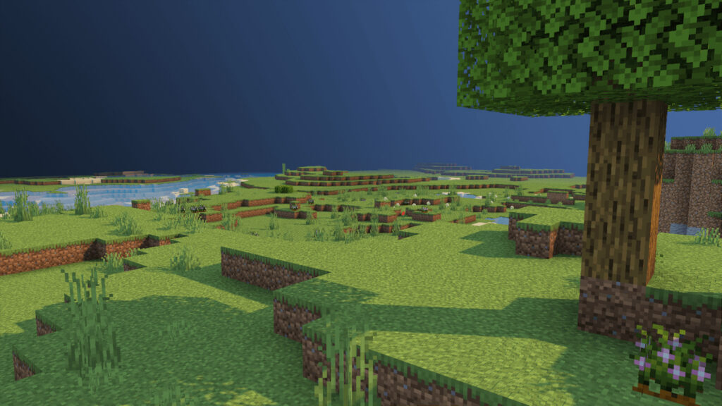 Plains Poggy's Better on Bedrock