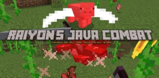 Raiyon’s Java Combat Addon 1.20.40+ HOTFIX!