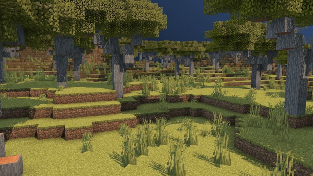 Savanna Poggy's Better on Bedrock