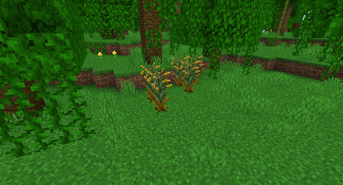Wild Rice in Farmer's Delight Bedrock