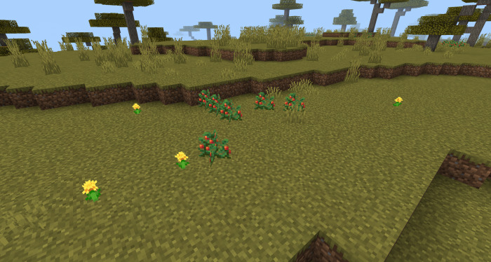 Wild Tomato in Farmer's Delight Bedrock
