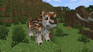 Ages Evolution