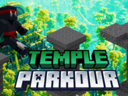 Temple Puzzles & Parkour