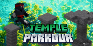 Temple Puzzles & Parkour