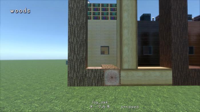 2525RTX Realistic Resource Pack