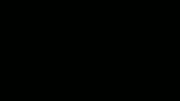 Coptaine's Animation